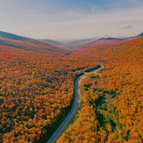  قربانی چاویلت چاویلت دنیامه زندگی ارای مه حرامه